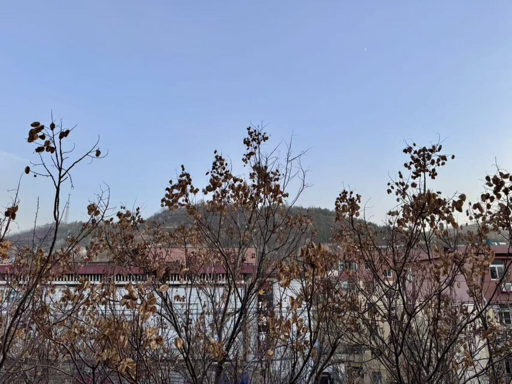 秋意漸濃時(shí)，回望來(lái)時(shí)路