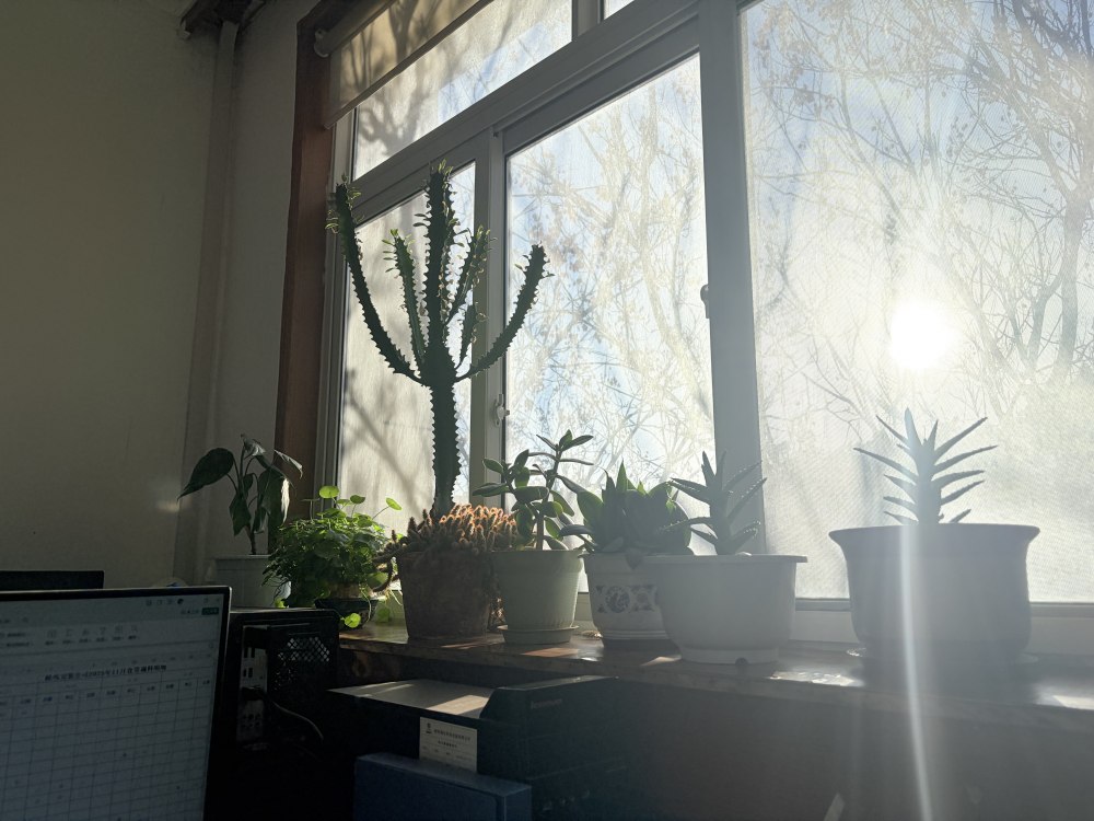 冬陽正好，步履鏗鏘