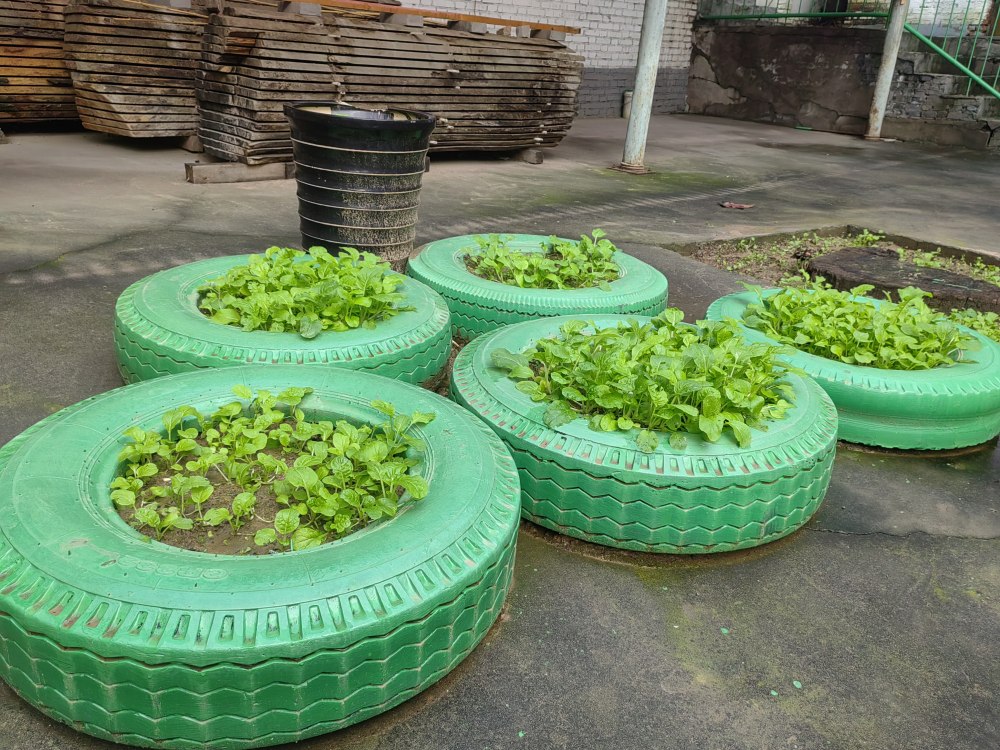 創(chuàng)意無休，廢舊輪胎也能C位出道