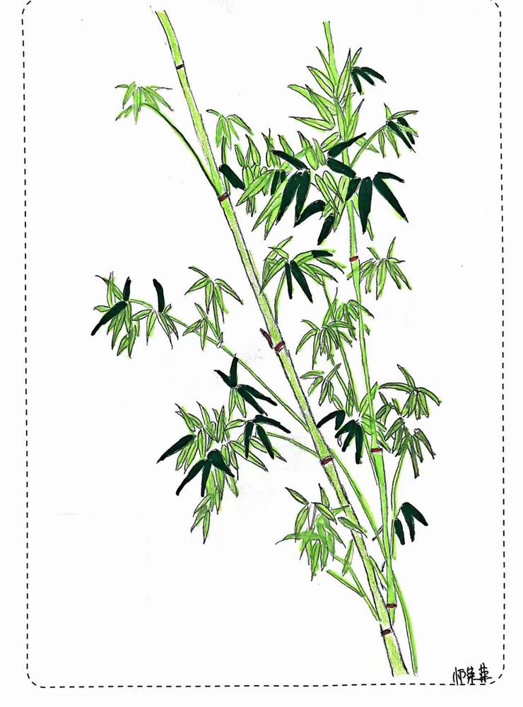 漫說廉潔！這組“草木廉盟”太可了