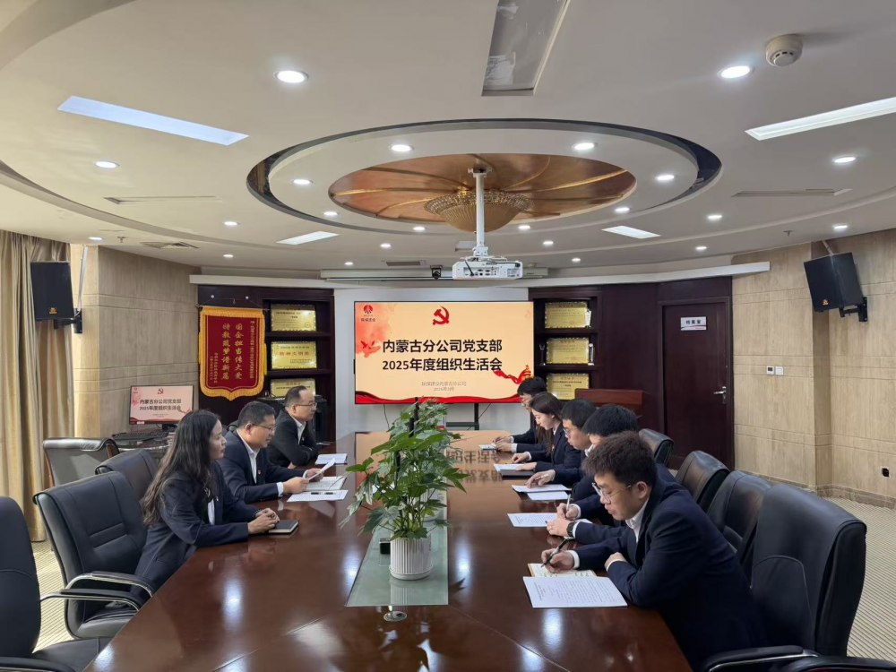 陜煤建設(shè)內(nèi)蒙古分公司召開2025年度組織生活會暨民主評議黨員工作