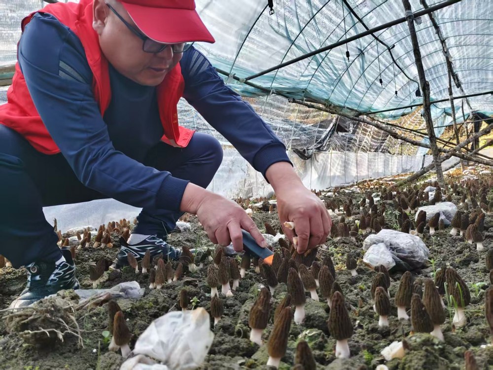 陜煤建設(shè)煤礦運(yùn)營(yíng)服務(wù)分公司：駐村干部顯擔(dān)當(dāng) 宣傳賦能促振興