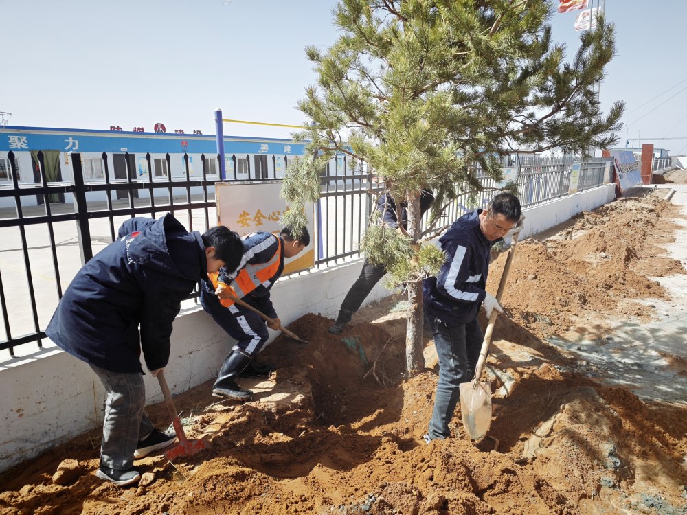 陜煤建設(shè)礦建三公司：植綠潤(rùn)人心 聚力促實(shí)干