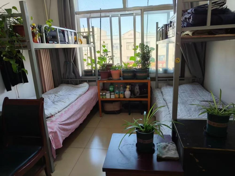 陜煤建設(shè)洗選煤運(yùn)營(yíng)公司檸條塔運(yùn)營(yíng)項(xiàng)目部：暖心筑港灣  聚力興征程